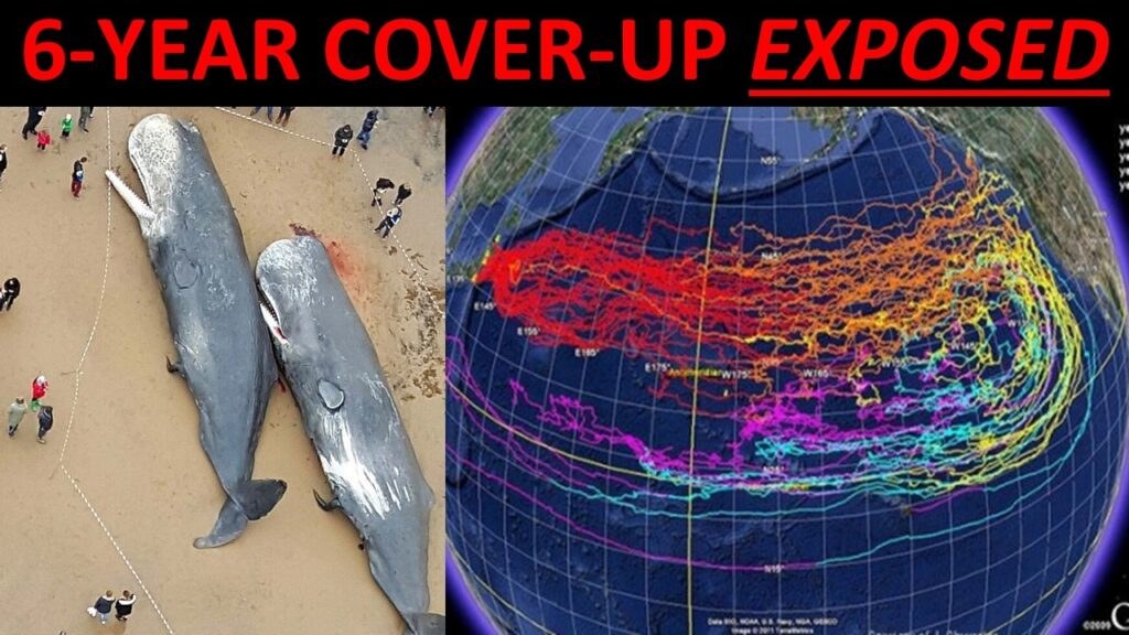 Fukushima Nuclear Meltdown COVERED UP! Radiation HIGHEST EVER RECORDED! 300 TONS into Pacific DAILY