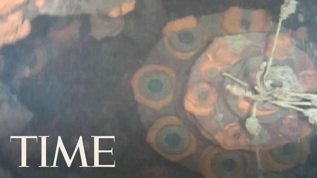 Swimming Robot Captures Underwater Images Of Damaged Fukushima Nuclear Reactor | TIME
