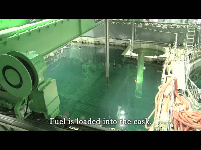 Removal of nuclear fuel assemblies from Fukushima Daiichi nuclear power plant