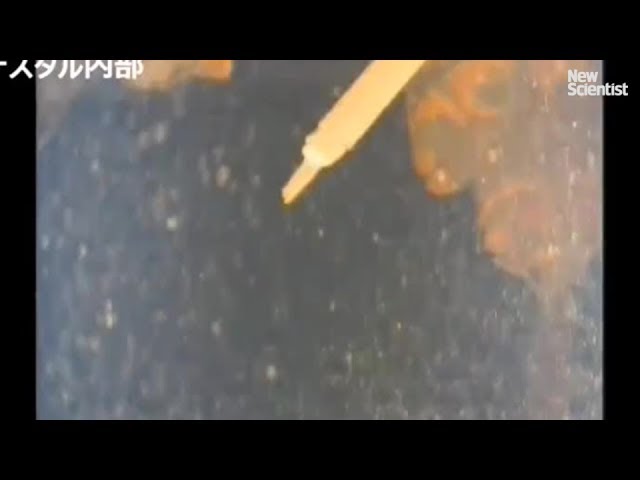 Robot explores submerged Fukushima reactor
