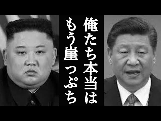 【最後の生き残り】実は中国と北朝鮮はここまで追い込まれている！なぜ彼らは例外なく腐敗し没落するのか？【武田邦彦】