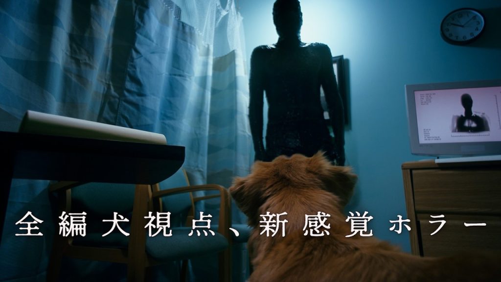 まさかの全編「犬」視点、世界注目の異色ホラー　映画『GOOD BOY／グッド・ボーイ』予告編
